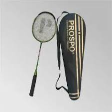 Image result for Beginners and Intermediate Badminton