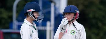 Image result for Effingham Cricket Club
