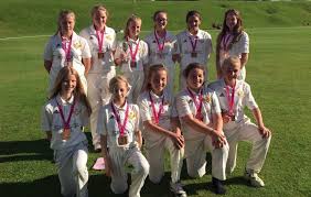 Image result for J & G Meakin Cricket Club