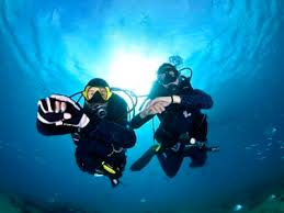 Image result for Canary Divers