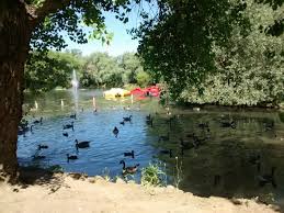 Image result for Locke Park Bowling Club