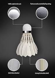 Image result for New Eagles Badminton Club