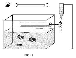 Картинки по запросу ...ЃРёРЅС‚РµР·Р°С‚РѕСЂ