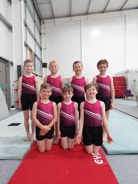 Image result for Wolverhampton Gymnastics Club