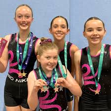 Image result for Diamonds Gymnastics Club