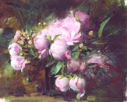 Image result for pino daeni