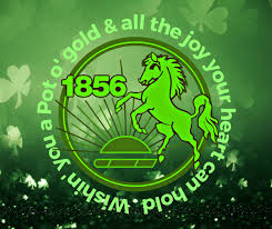 Image result for Whitstable Cc