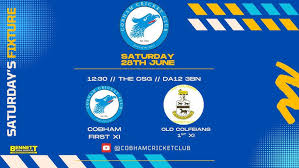 Image result for Old Colfeians Cc