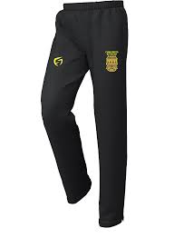 Image result for Clwb Criced A Bowlio Bethesda