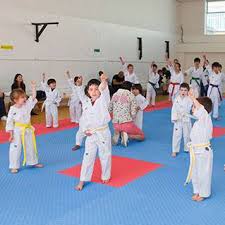 Image result for Kidderminster Tae Kwon Do Tigers