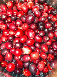 Attēlu rezultāti vaicājumam “Oxycoccus fruit”