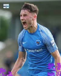 Image result for Ballinamallard United Football Club