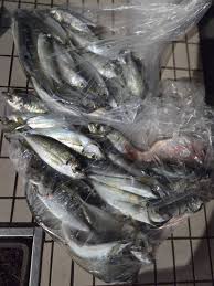 Image result for 全員５０