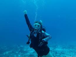Image result for innerspace divers