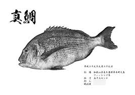 「魚拓」的圖片搜尋結果