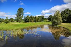 Image result for Malton & Norton Canoe Club