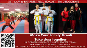 Image result for Martial Arts Karate Mesa AZ