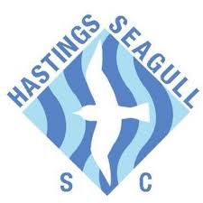 Image result for Hastings Seagulls Swimming Club