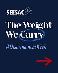 Image result for Seesac