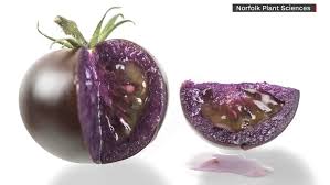 Afbeeldingsresultaat voor prudence purple tomato