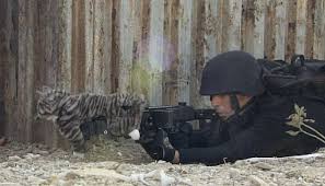 Image result for corner shot