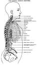 Early American Energy Medicine