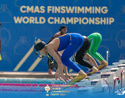 Image result for Swansea Finswimming Club