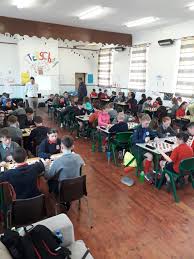 Image result for Limerick Draughts Club