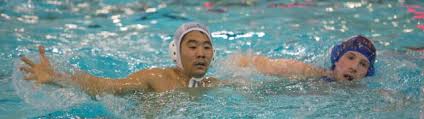 Image result for West London Penquin Swimming & Water Polo Club