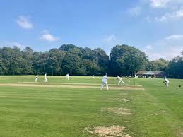 Image result for Tadworth Cricket Club