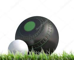 Image result for Thornaby Village Bowls Club