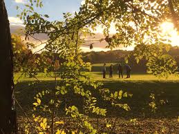 Image result for Romanby Golf Course
