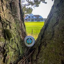 Image result for Hornsea Cricket Club