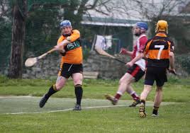 Image result for Causeway Hurling Club