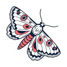 Attēlu rezultāti vaicājumam “Catocala fraxini”