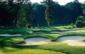 Image result for Forest Green Cricket Club