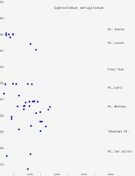 Attēlu rezultāti vaicājumam “Gymnostomum aeruginosum”