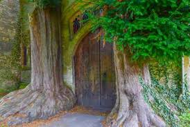 Image result for Stow-On-The-Wold & District Rfc