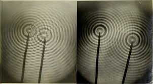 Image result for interference patterns