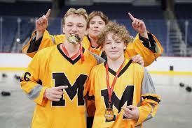 Image result for Ealing Eagles Ball Hockey Club