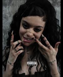 Attēlu rezultāti vaicājumam “Badhamia nitens”