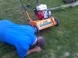 Image result for eliet tehron