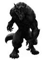 male werewolves