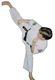 Image result for Independent Wadoryu Karate Federation