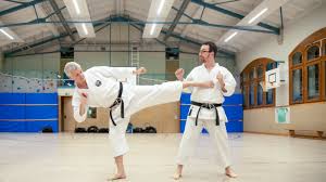 Image result for Sandokai Karate