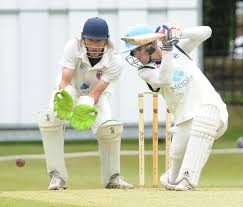 Image result for Burley-In-Wharfedale Cricket Club