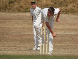 Image result for Lingfield Cricket Club