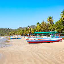 Image result for goa beaches