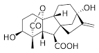 Gibberellin | Ask.com Encyclopedia
