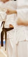 Image result for Reading Karate-Do Shotokai